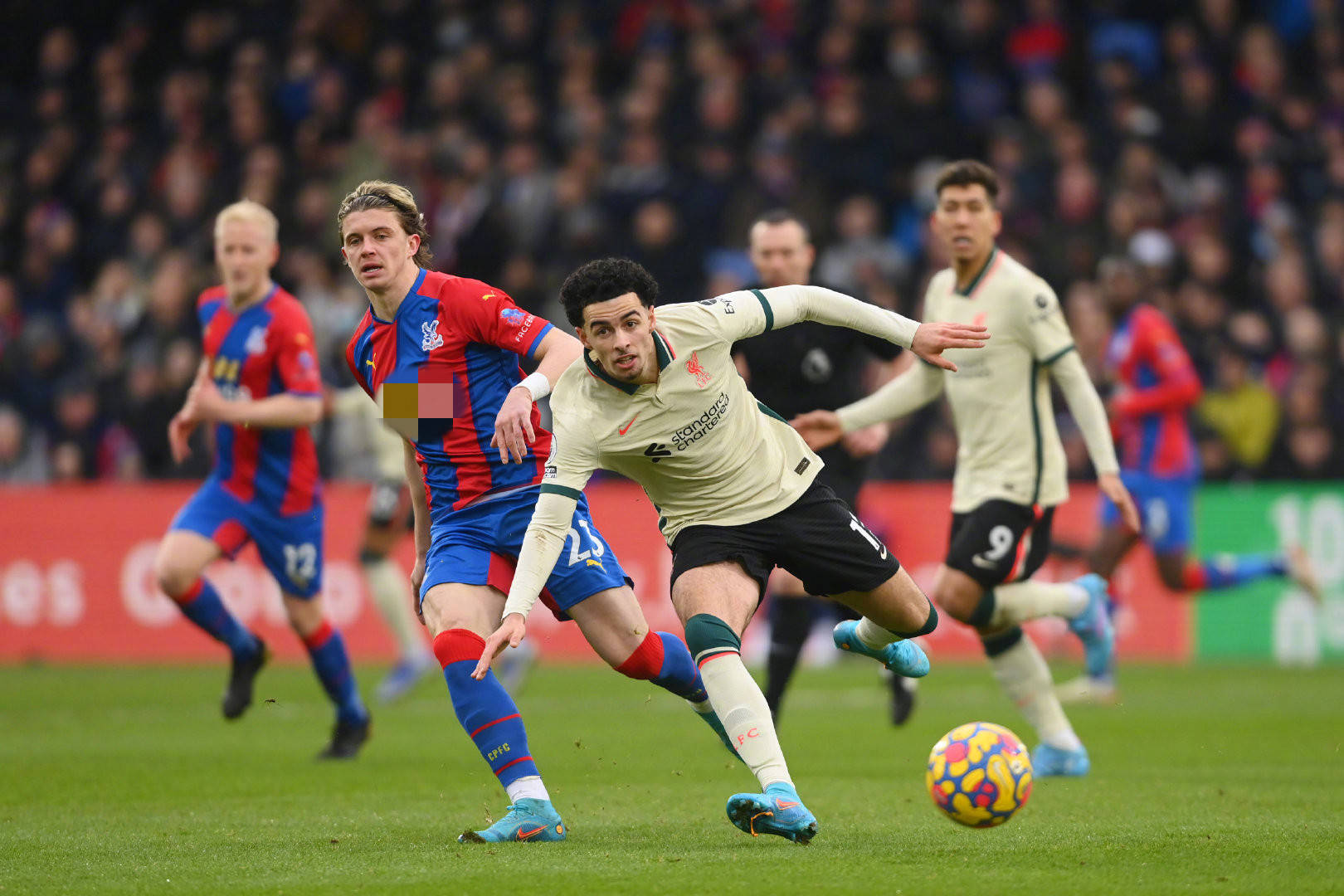 项铁人带来 项铁人带来